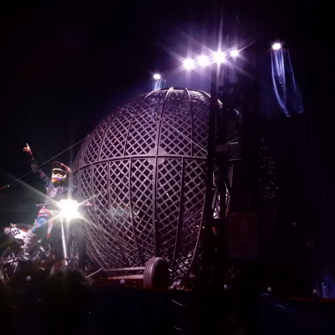 🐘 Domadores de Animais